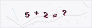 Math security check
